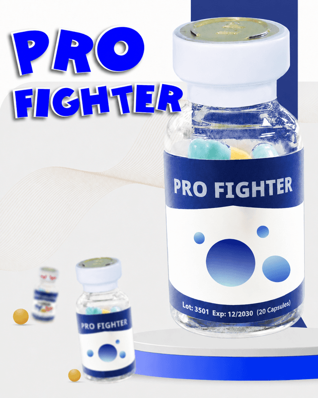 PRO FIGHTER